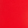Colorplan 12X12 Cardstock 100#CV - 10 Sheets