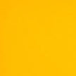 Colorplan 12X12 Cardstock 100#CV - 10 Sheets