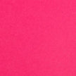 Colorplan 12X12 Cardstock 100#CV - 10 Sheets