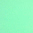 Colorplan 12X12 Cardstock 100#CV - 10 Sheets