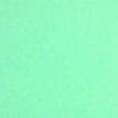 Colorplan 8.5X11 Cardstock 100#CV - 10 Sheets