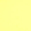 Colorplan 12X12 Cardstock 100#CV - 10 Sheets