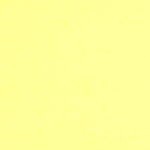 Colorplan 12X12 Cardstock 100#CV - 10 Sheets