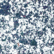 Cosmic Shimmer Aurora Flakes 50ml
