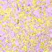 Cosmic Shimmer Aurora Flakes 50ml