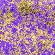 Cosmic Shimmer Aurora Flakes 50ml