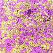 Cosmic Shimmer Aurora Flakes 50ml