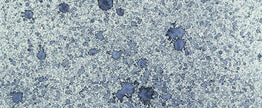 Cosmic Shimmer Airless Mister