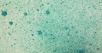 Cosmic Shimmer Airless Mister