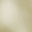 Cosmic Shimmer Gilded Touch 18ml