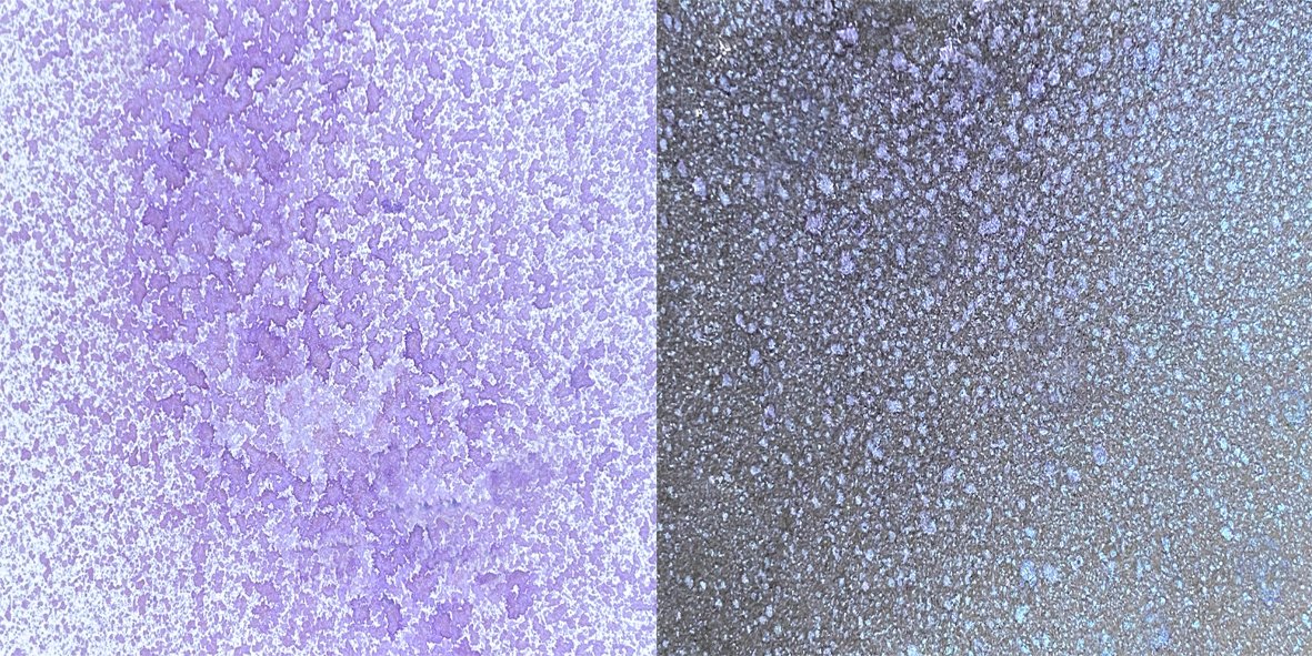 Cosmic Shimmer Pearlescent Airless Misters 50ml