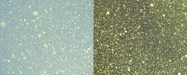 Cosmic Shimmer Pearlescent Airless Misters 50ml