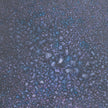 Cosmic Shimmer Jamie Rodgers Pixie Sparkles 30ml