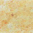 Cosmic Shimmer Jamie Rodgers Pixie Sparkles 30ml