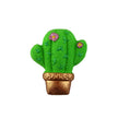 Cactus with Flowers