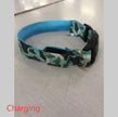 LED Camouflage Dog Collar – Luminous Safety Collar for Dogs | S M L XL