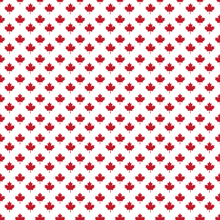 Canada Day Pattern #2 Maple leaf in White Background
