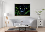 Wall Art-Rare Black Jaguar -Wildlife Canvas