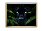 Wall Art-Rare Black Jaguar -Wildlife Canvas