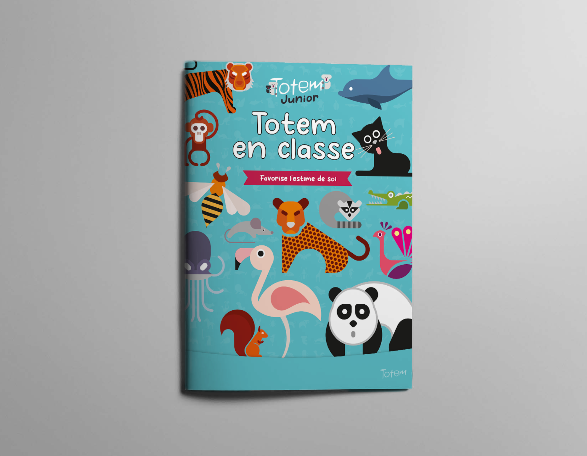 Activities school guide