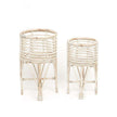 Cardo Rattan Planter (Multiple Sizes)