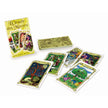 Cartamundi - L'Oracle Des Miroirs - 52 Cartes