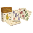 Cartamundi - Le Nouveau Jeu De La Main - 84 Cartes