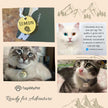 Cat Collar Breakaway - Tie-dye Designs with ID Tag