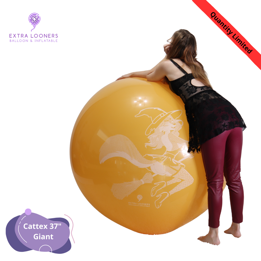 Cattex 37
