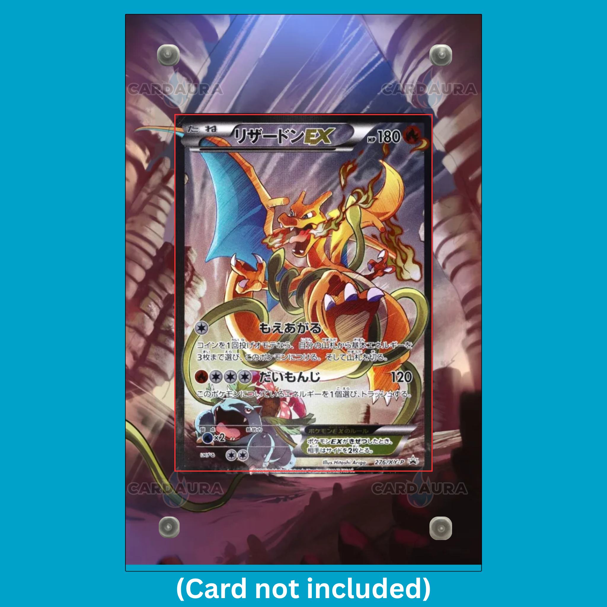 Charizard EX JP 276/XY-P Promo (Ungraded) Display Case