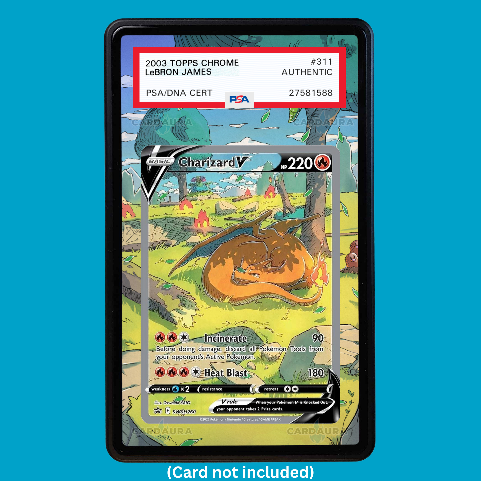 Charizard V SWSH260 Promo (Graded) Display Case