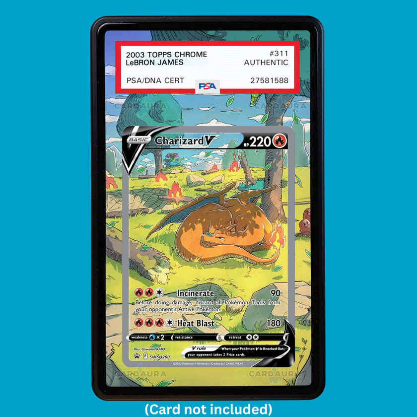 Charizard V SWSH260 Promo (Graded) Display Case