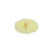 Charles Viancin - Floral Lilypad Silicone Lid 15Cm/6