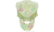 Grunk: Stubby Orc Tusks