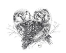 Owls in Love Greeting Card