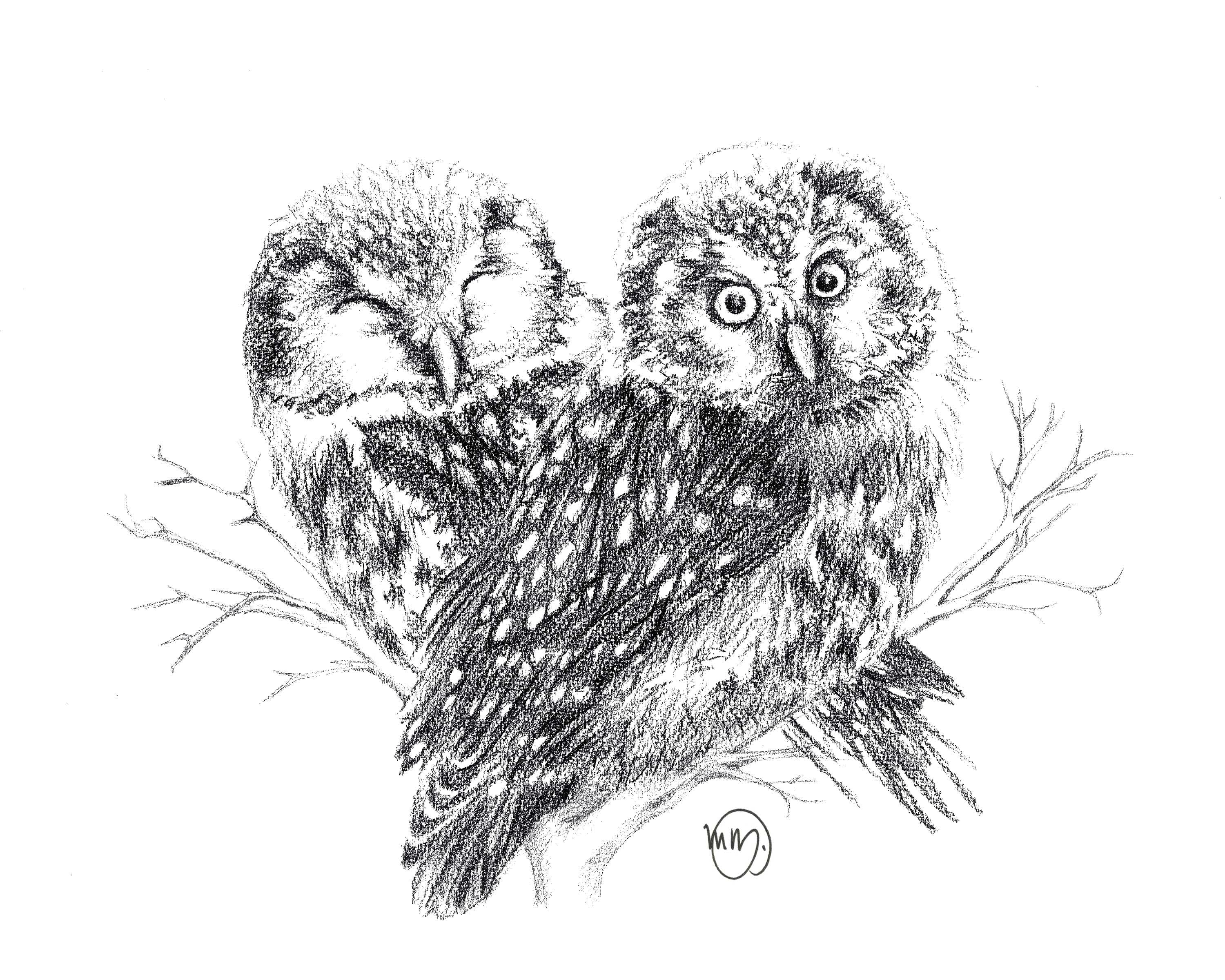 Owls in Love Greeting Card