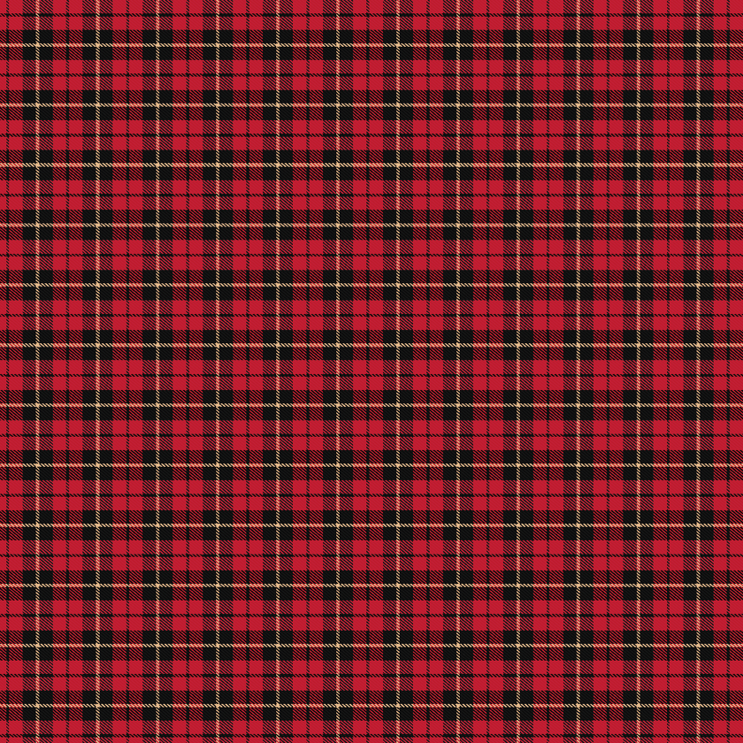 Craft HTV Christmas Plaid Pattern 2