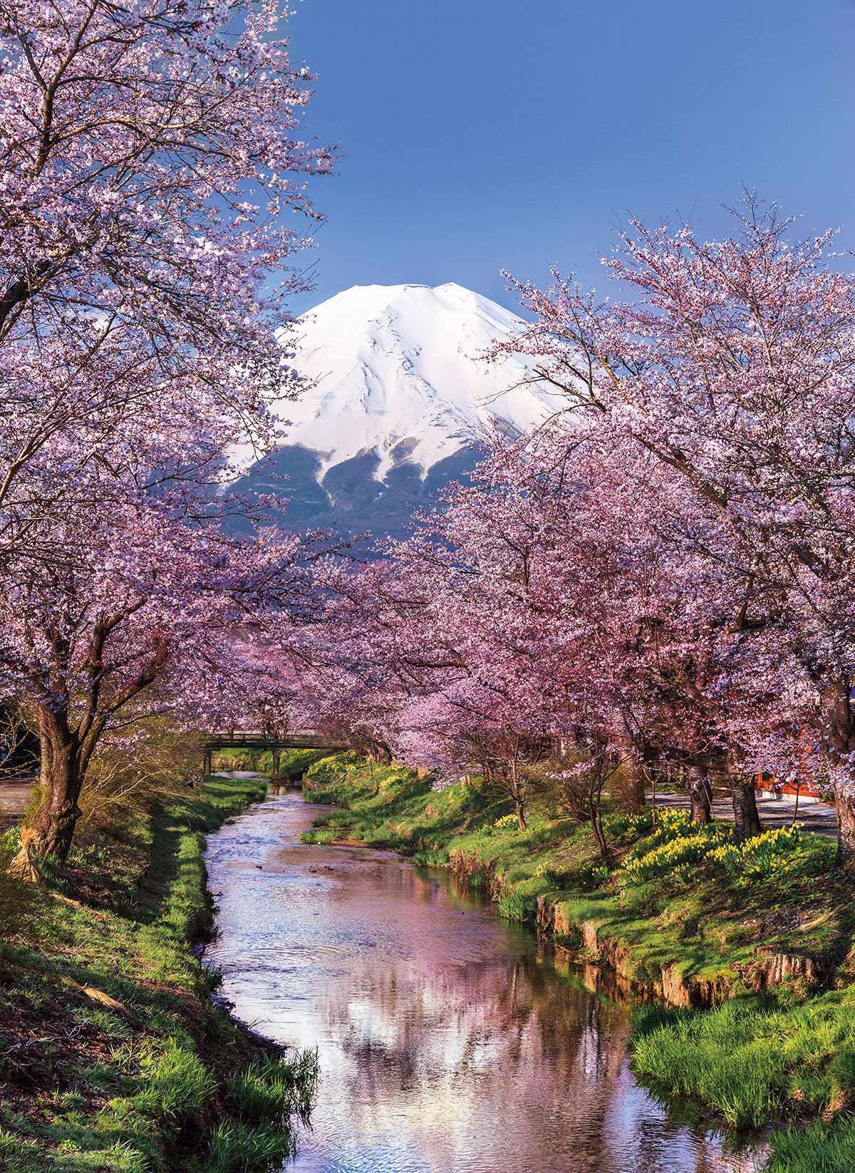 Clementoni - 1000-Piece Puzzle (Fuji Mountain)