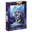 Clementoni - 1000-Piece Puzzle (Stokes-Protector)