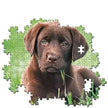 Clementoni - 500-Piece Puzzle (Chiot Chocolat)