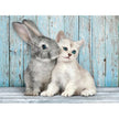 Clementoni - Cat & Bunny (500-Piece Puzzle)
