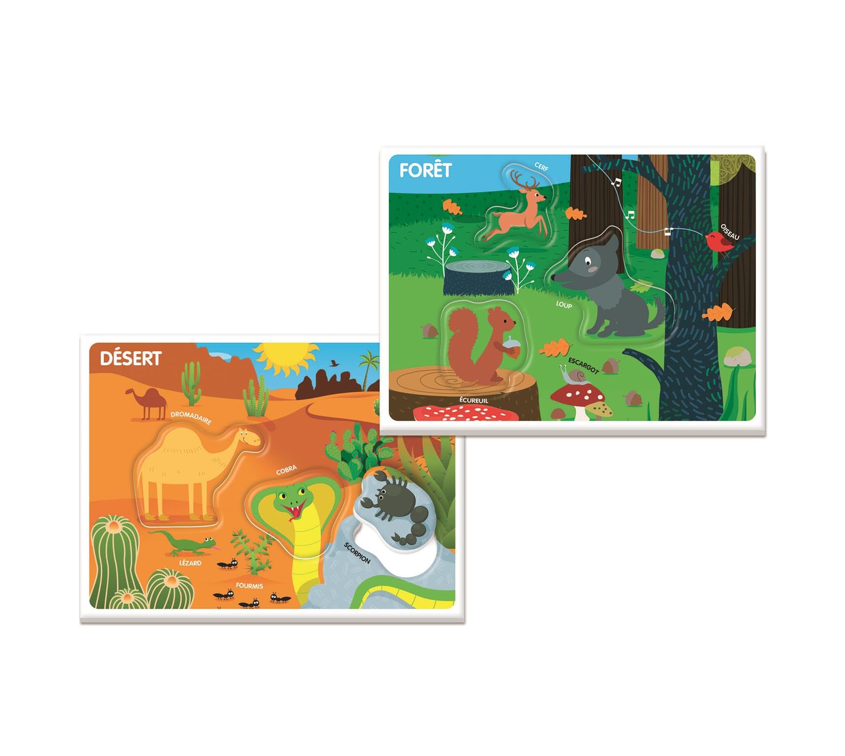 Clementoni - EDUCATION: LES ANIMAUX ET LEUR HABITAT
