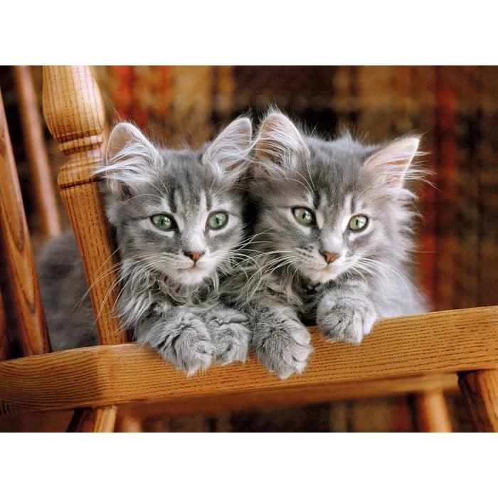 Clementoni - Kittens (500-Piece Puzzle)