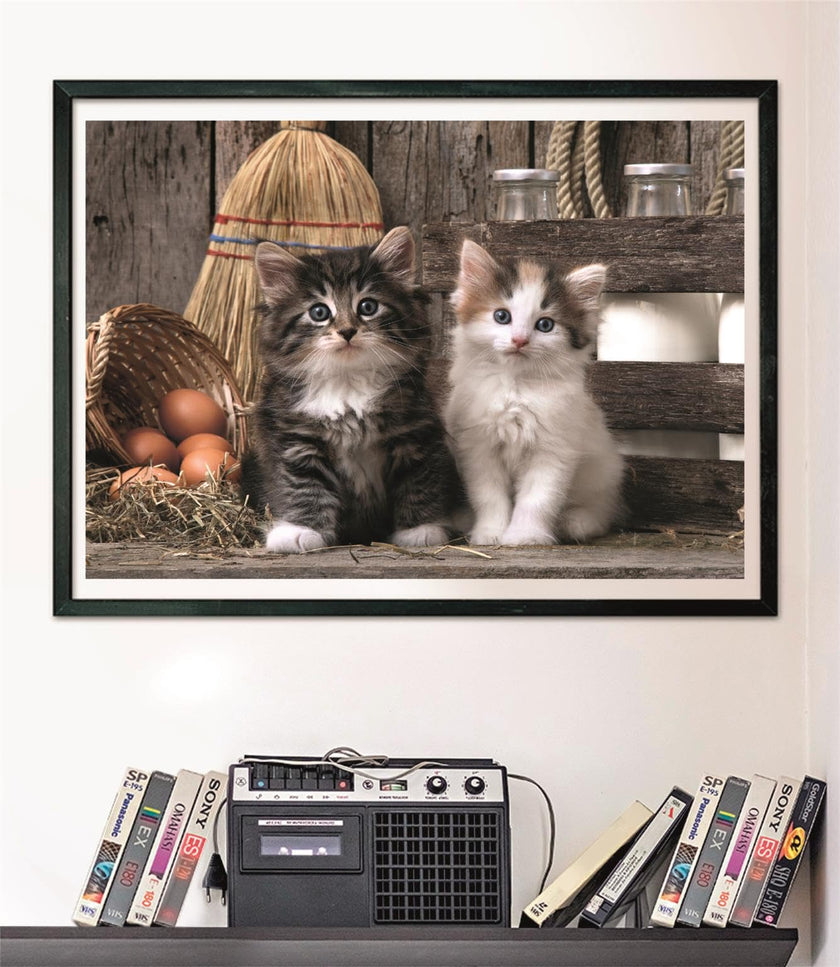 Clementoni - PZ1000 : CHATONS ENCHANTEURS