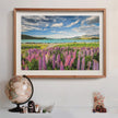 Clementoni - PZ1500: LUPINS AT LAKE TEKAPO