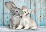 Clementoni - PZ500: CAT & BUNNY