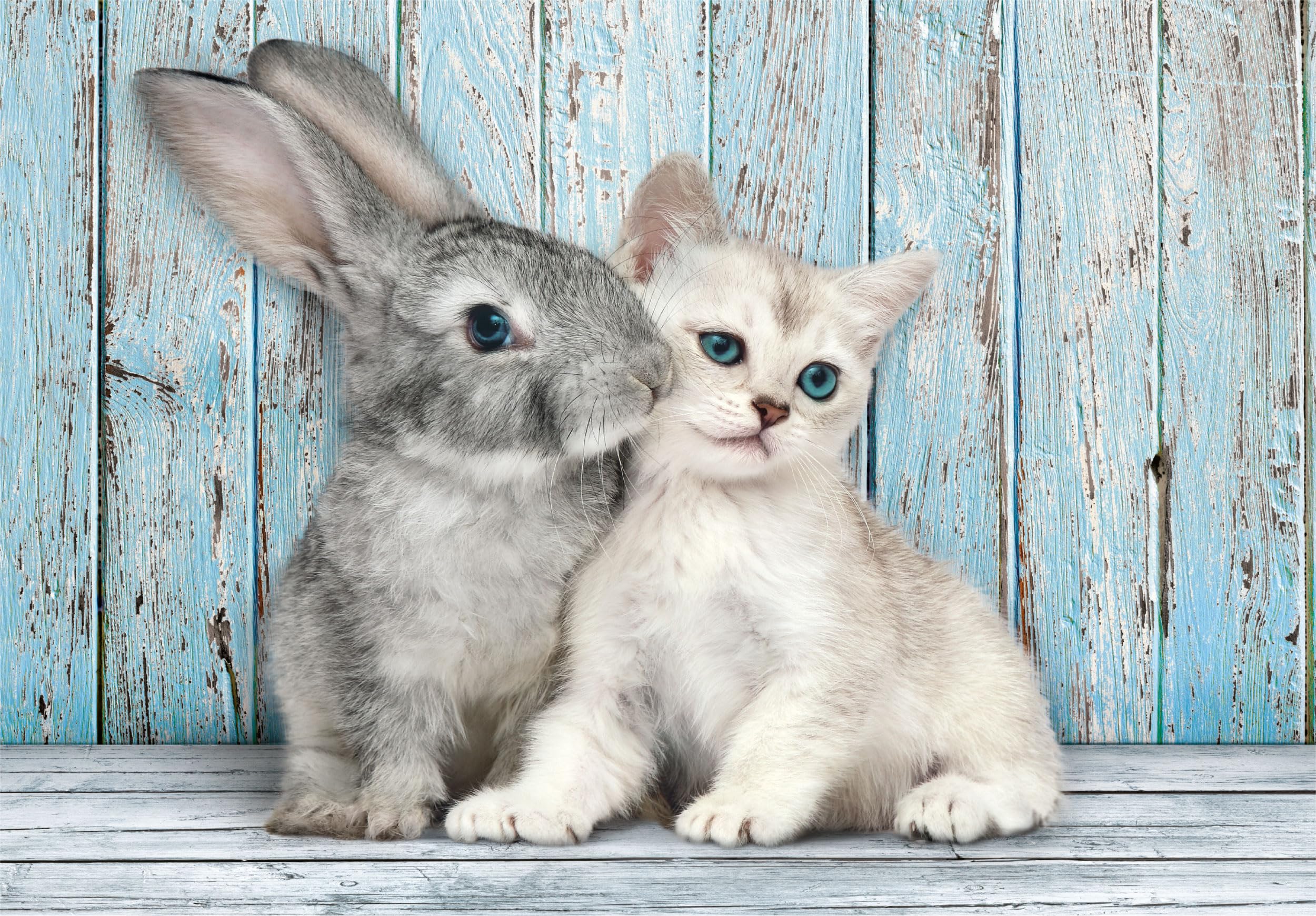Clementoni - PZ500: CAT & BUNNY