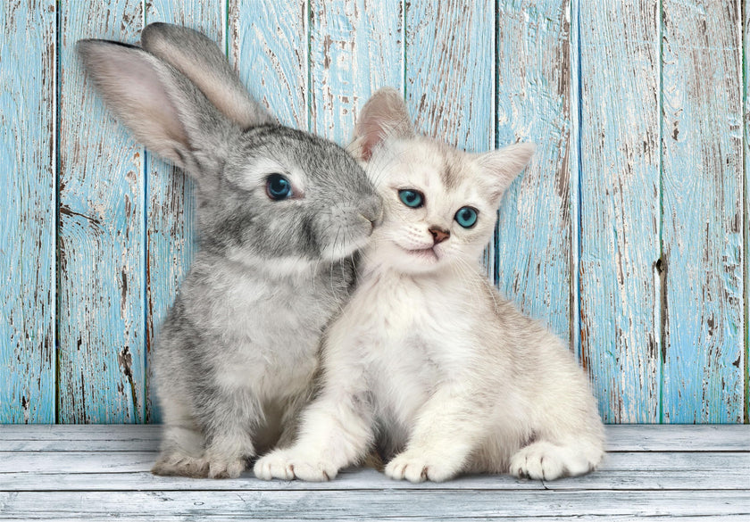 Clementoni - PZ500: CAT & BUNNY