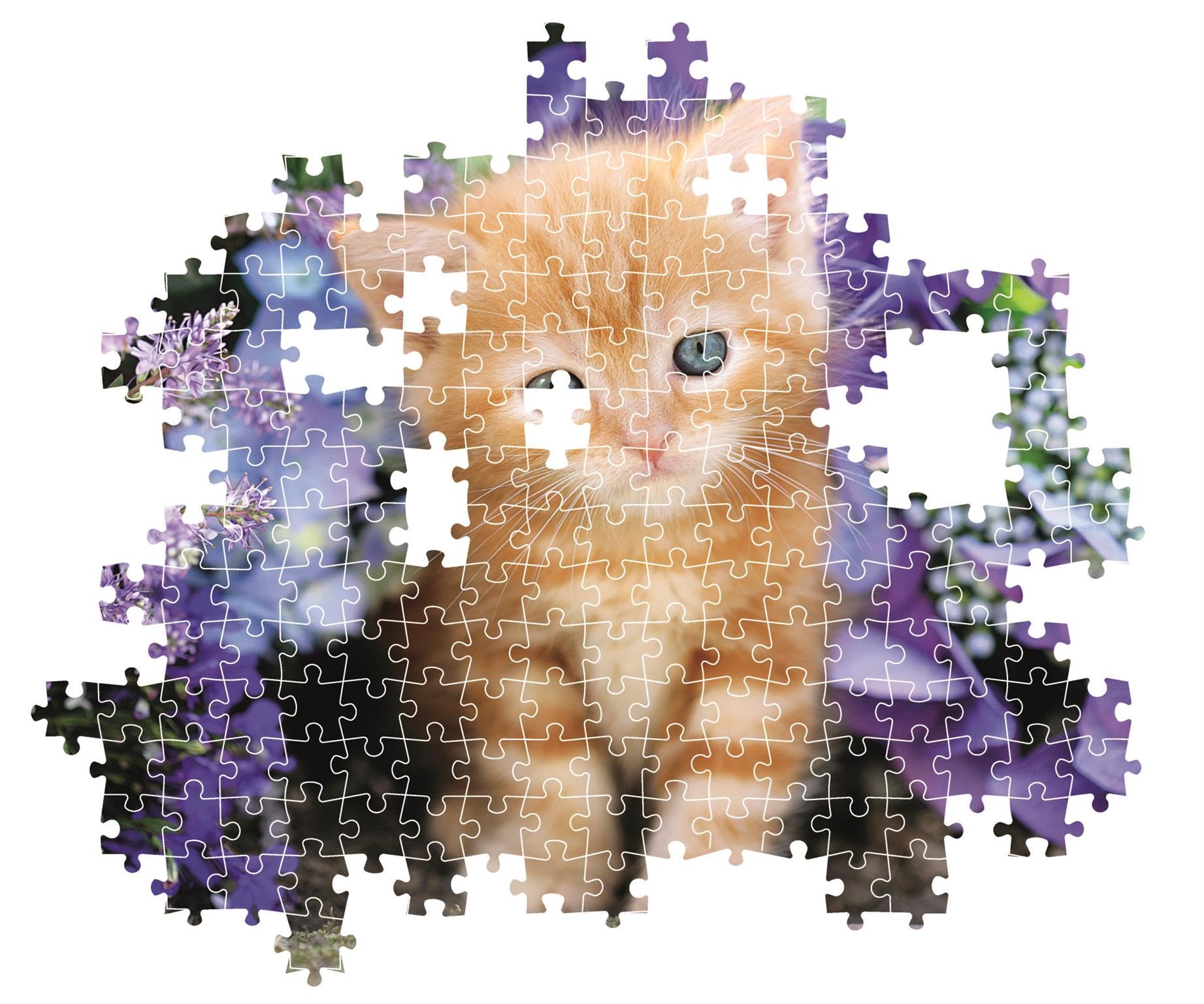 Clementoni - PZ500: GINGER CAT