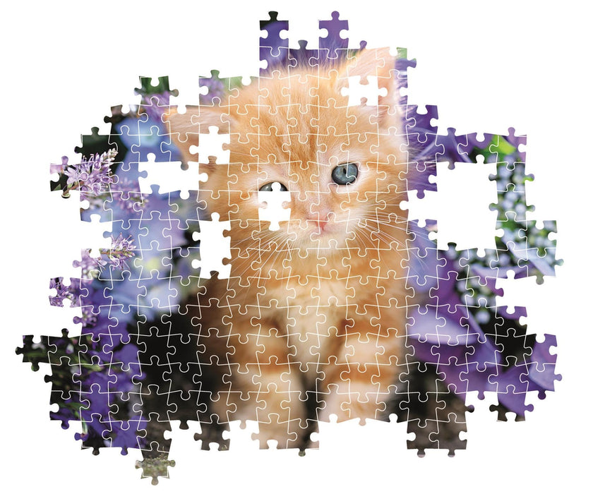 Clementoni - PZ500: GINGER CAT